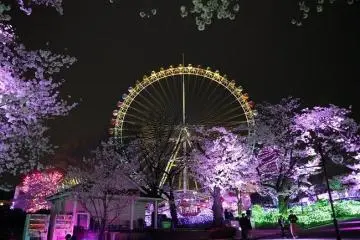 Photo: <a href="https://prtimes.jp/main/html/rd/p/000000229.000041300.html" target="_blank" rel="noreferrer noopener nofollow">Yomiuri Land Co., Ltd.</a>