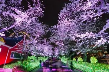 Photo: <a href="https://prtimes.jp/main/html/rd/p/000000229.000041300.html" target="_blank" rel="noreferrer noopener nofollow">Yomiuri Land Co., Ltd.</a>