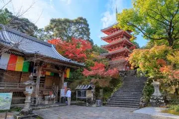 Chikurin-ji Temple in Kochi City (Photo: <a href="https://second.myportfolio.com/" target="_blank" rel="noreferrer noopener nofollow">Takuya Hosogi</a>)