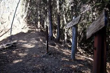 It started the steep ascents from here
