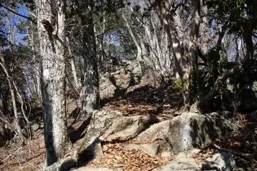 Rocky roads