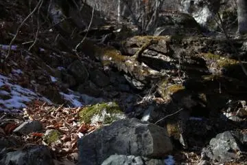 Most of the trails were covered by fallen leaves, and partially covered with snow