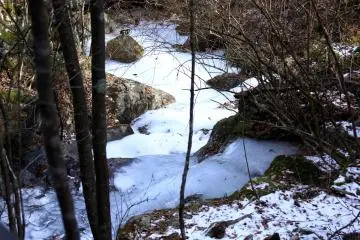 The frozen mountain stream 