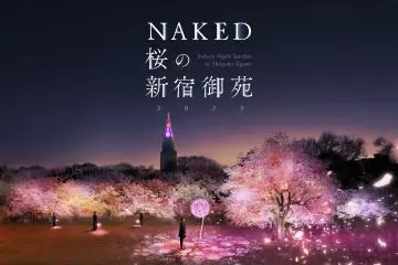 Sakura Night Garden at Shinjuku Gyoen 2023
