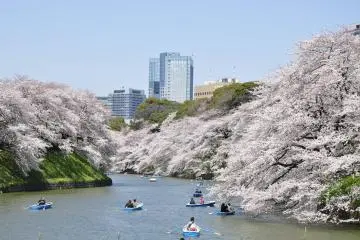 Photo: <a href="https://prtimes.jp/main/html/rd/p/000000055.000064048.html" target="_blank" rel="noreferrer noopener nofollow">Chiyoda Ward Tourism Association</a>