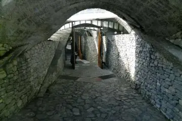 Gallery image