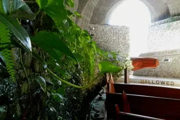 Gallery image
