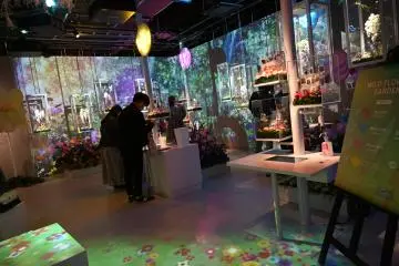 Wild Flower Garden