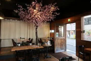Enjoy cherry blossoms both inside and outside!