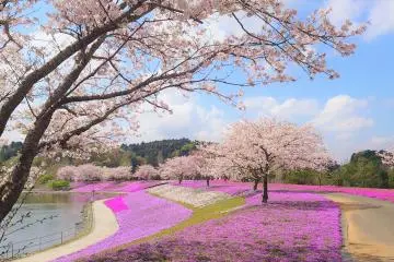 Photo: <a href="https://prtimes.jp/main/html/rd/p/000000003.000118576.html" target="_blank" rel="noreferrer noopener nofollow">Meiwa Kosan Co., Ltd. Tokyo German Village Division</a>