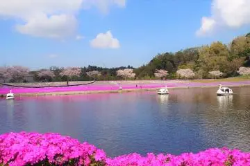 Photo: <a href="https://prtimes.jp/main/html/rd/p/000000003.000118576.html" target="_blank" rel="noreferrer noopener nofollow">Meiwa Kosan Co., Ltd. Tokyo German Village Division</a>