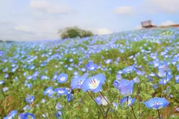 Photo: <a href="https://prtimes.jp/main/html/rd/p/000000003.000118576.html" target="_blank" rel="noreferrer noopener nofollow">Meiwa Kosan Co., Ltd. Tokyo German Village Division</a>