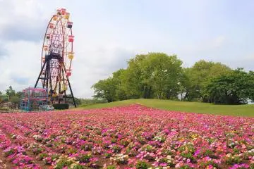 Photo: <a href="https://prtimes.jp/main/html/rd/p/000000003.000118576.html" target="_blank" rel="noreferrer noopener nofollow">Meiwa Kosan Co., Ltd. Tokyo German Village Division</a>