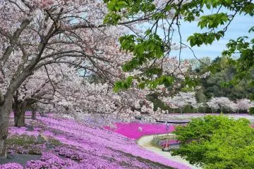 Photo: <a href="https://prtimes.jp/main/html/rd/p/000000003.000118576.html" target="_blank" rel="noreferrer noopener nofollow">Meiwa Kosan Co., Ltd. Tokyo German Village Division</a>