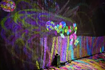 Flowers Bombing in the Bath House Ruins