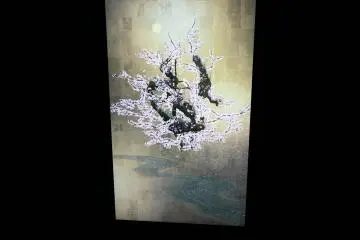 Life Survives by the Power of Life II