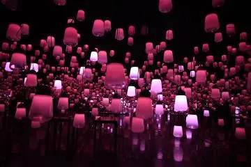 Forest and Spiral of Resonating Lamps