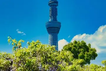 Photo: <a href="https://flickr.com/photos/mawari/51123171833/" target="_blank" rel="noreferrer noopener nofollow">Hideya HAMANO</a> / <a href="https://creativecommons.org/licenses/by-nc-nd/2.0/" target="_blank" rel="noreferrer noopener nofollow">CC BY-NC-ND 2.0</a>