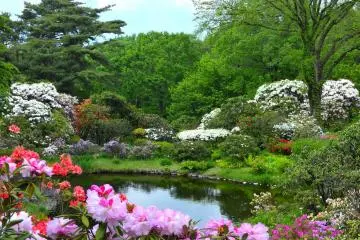 Akagi Nature Park