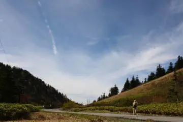 The views once you disembark the ropeway
