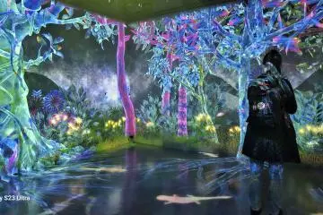 Explore the vibrant scenery (Photo: <a href="https://en.japantravel.com/profile/runa-aoki/807594503" target="_blank" rel="noreferrer noopener nofollow">Runa Aoki</a> / JT)