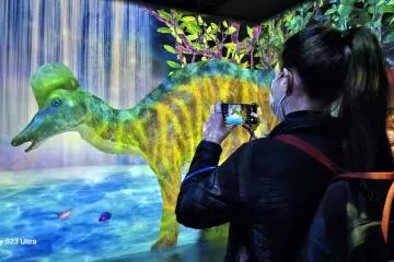 Be sure to take plenty of pictures