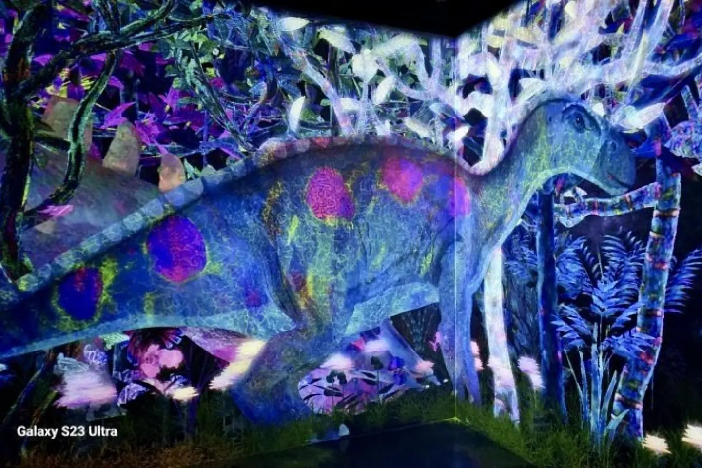 Catching and Collecting in the Dinosaur Forest