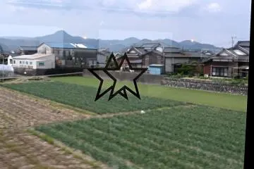 View by the window