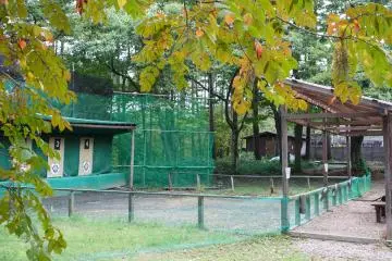 <p>ลับฝีมือธนูที่ลานยิง</p>