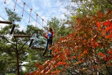 <p>คนที่กำลังตัวสั่นอยู่บนคุซัตสุ ฟอเรสต์ สเตจนั่นคือฉันเอง</p>