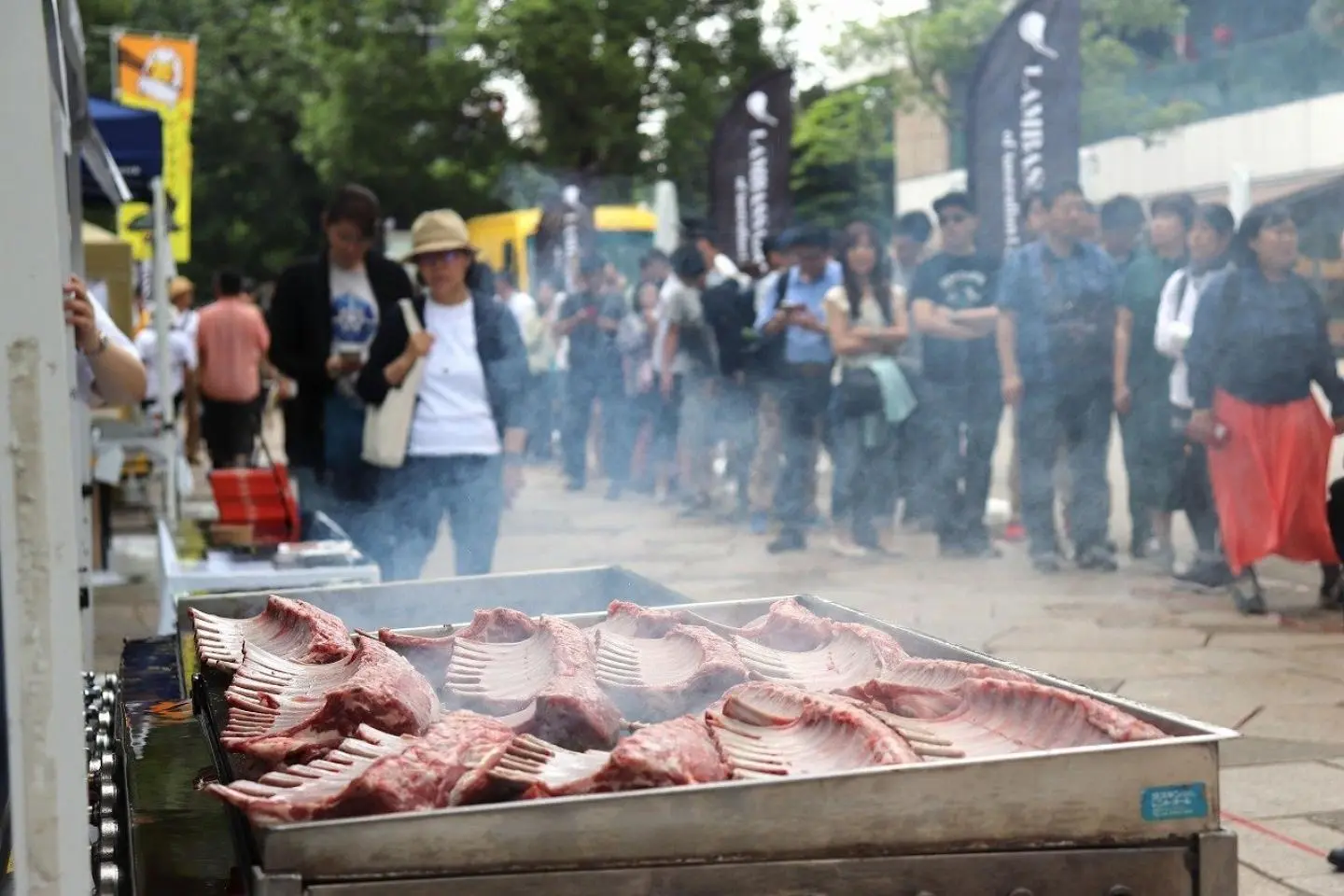 Lambassador Festival 2024