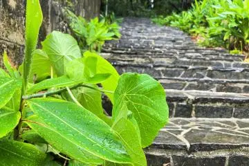 Stone Steps leading to the memorial