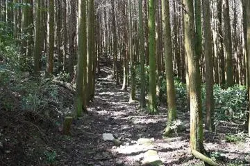 Hiking trail