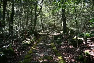 Hiking trail