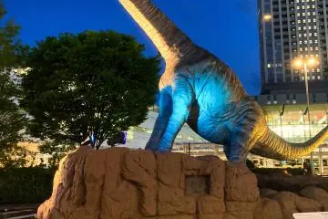 Night time at Fukui Station