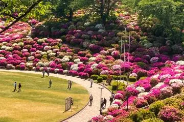 Nishiyama Park