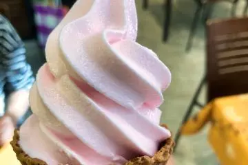 Azalea Softcream