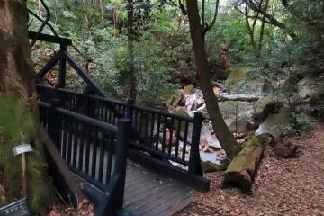 Crossed Lots of bridges on this trail