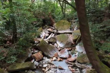 Notice the rock colors from hot spring water