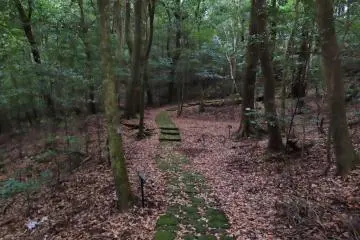 Most of the trails were easy to moderate