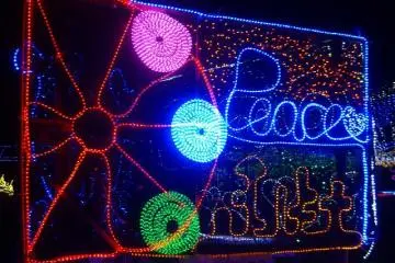 neon-artwork by local students