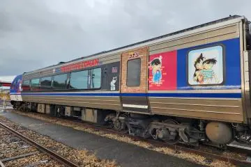 Livery on the exterior side of the train