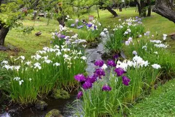 Photo: Seibu Landscape Co., Ltd.