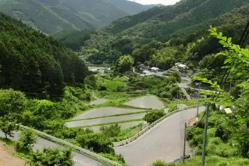 Pemandangan dari atas lembah