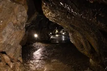 A tranquil atmosphere for wandering