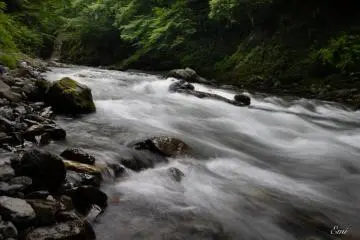 Along the Nippara River, you may go hiking, fishing, barbecuing, and camping