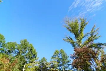 A sunny Saturday morning at Harunire Terrace.