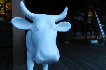 The cow advertising soft cream.