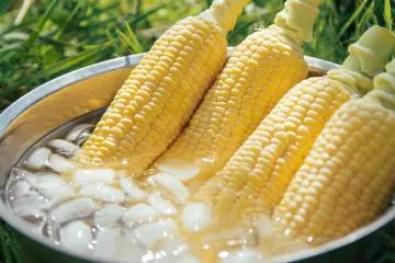 Corn Festival 2026