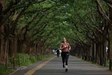 Meiji Jingu Gaien